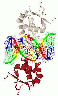 Image Biol.Unit 1 - manually