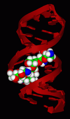 Image NMR Structure - manually