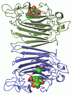 Image Asym./Biol. Unit - manually