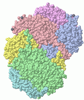 Image Asym./Biol. Unit - manually