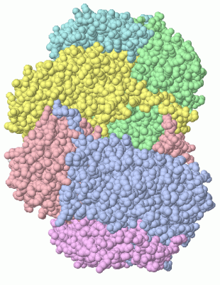 Image Asym./Biol. Unit - manually