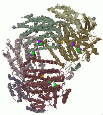 Image Asym./Biol. Unit - manually