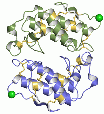 Image Asym./Biol. Unit - manually