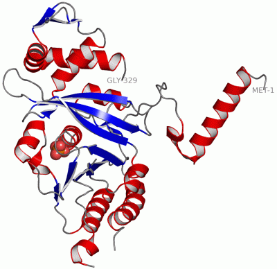 Image Asym./Biol. Unit - manually