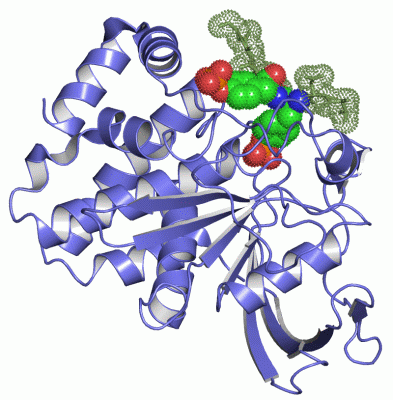 Image Asym./Biol. Unit - manually