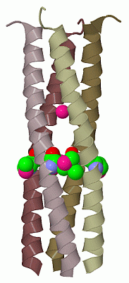 Image Biol.Unit 1 - manually