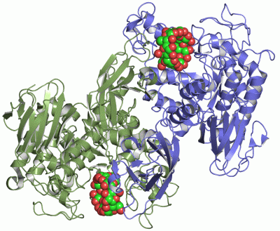 Image Asym./Biol. Unit - manually