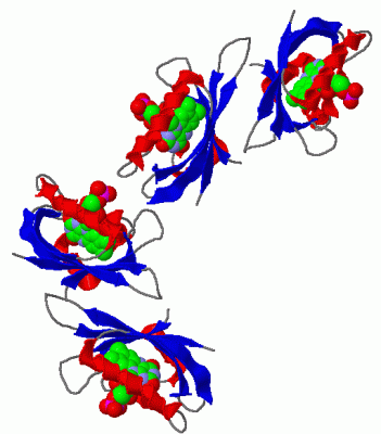 Image Asym.Unit - manually