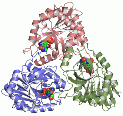 Image Asym./Biol. Unit - manually