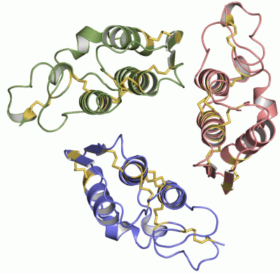 Image Asym./Biol. Unit - manually