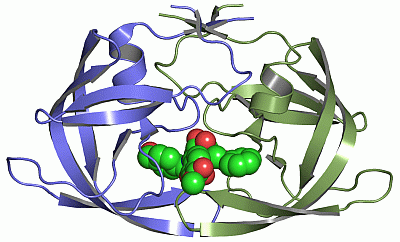 Image Asym./Biol. Unit - manually