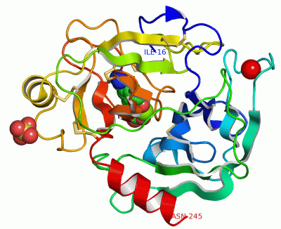 Image Asym./Biol. Unit - manually