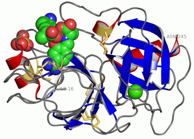 Image Asym./Biol. Unit - manually