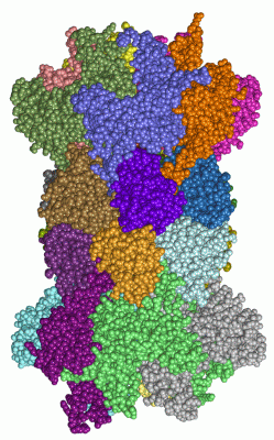 Image Asym./Biol. Unit - manually