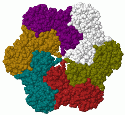 Image Biol.Unit 1 - manually