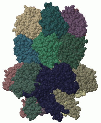 Image Biol.Unit 1 - manually