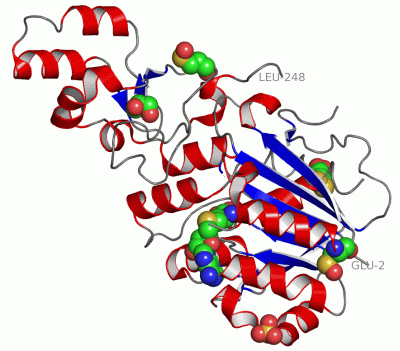 Image Asym./Biol. Unit - manually