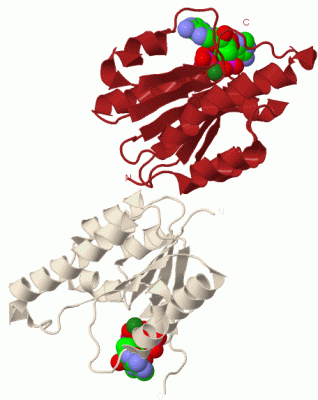 Image Biol.Unit 1 - manually