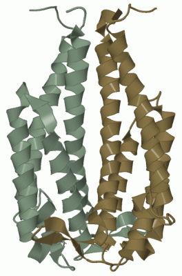 Image Biol.Unit 1 - manually