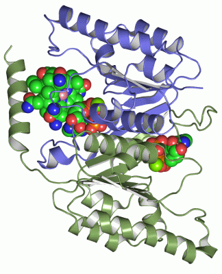 Image Asym./Biol. Unit - manually