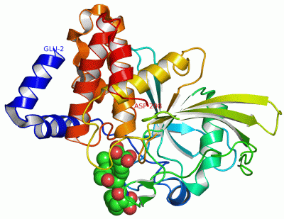 Image Asym./Biol. Unit - manually