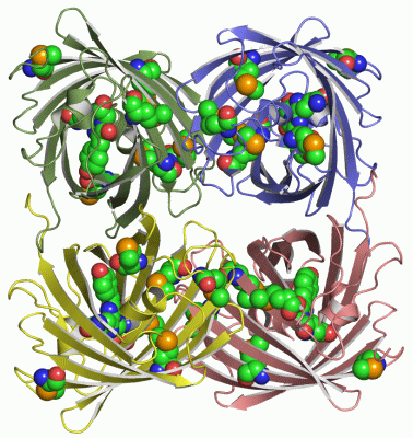 Image Asym./Biol. Unit - manually