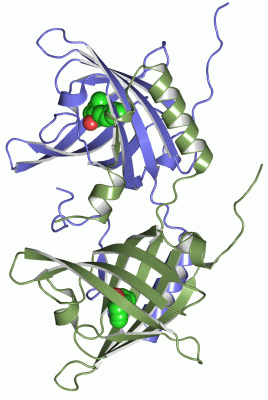 Image Asym./Biol. Unit - manually