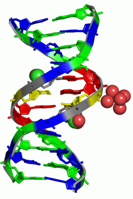 Image Asym./Biol. Unit - manually