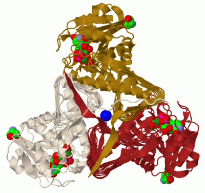 Image Biol.Unit 1 - manually