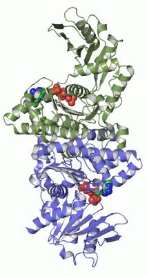 Image Asym./Biol. Unit - manually