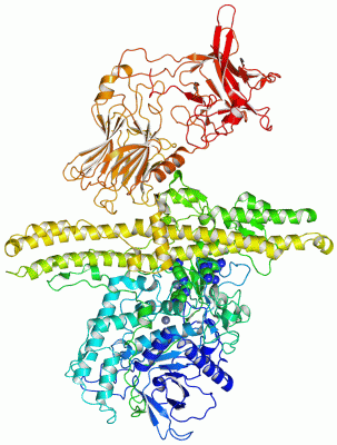 Image Asym./Biol. Unit - manually