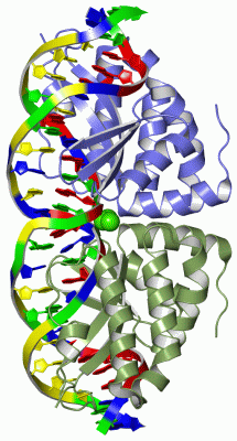 Image Asym./Biol. Unit - manually