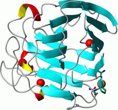 Image Asym./Biol. Unit - manually
