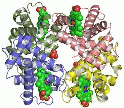 Image Asym./Biol. Unit - manually