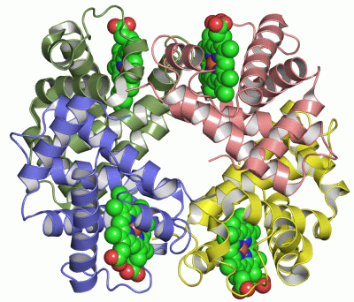 Image Asym./Biol. Unit - manually