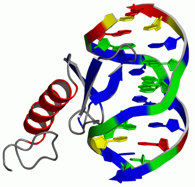 Image NMR Structure - manually