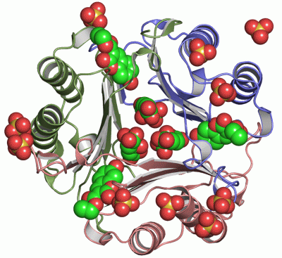 Image Asym./Biol. Unit - manually