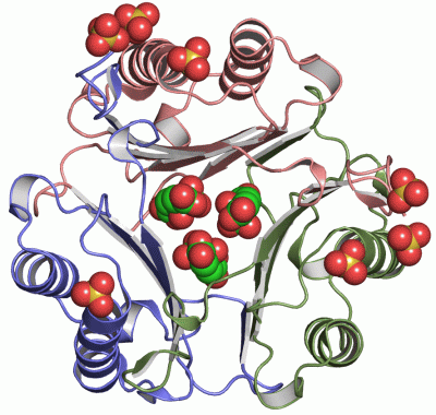 Image Asym./Biol. Unit - manually