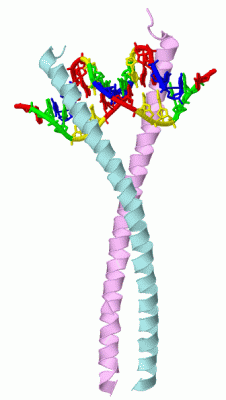 Image Biol.Unit 1 - manually