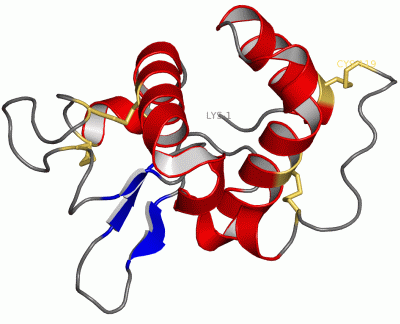 Image Asym./Biol. Unit - manually