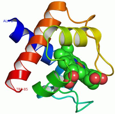 Image Asym./Biol. Unit - manually