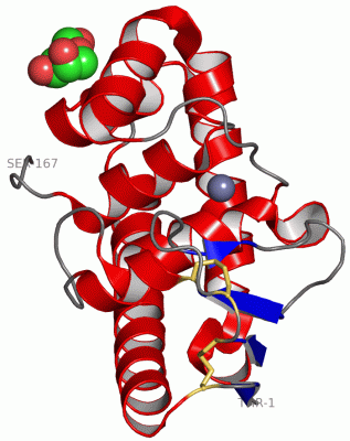 Image Asym./Biol. Unit - manually