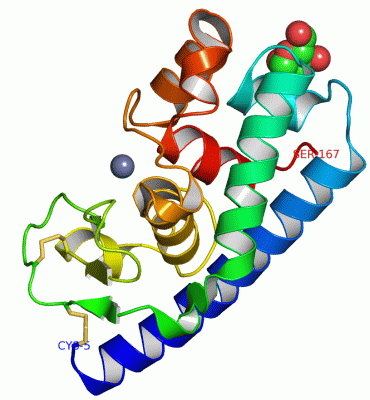 Image Asym./Biol. Unit - manually