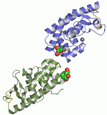 Image Asym./Biol. Unit - manually