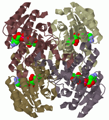 Image Biol.Unit 1 - manually