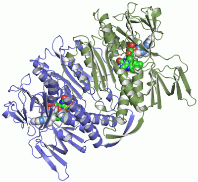 Image Asym./Biol. Unit - manually