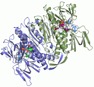 Image Asym./Biol. Unit - manually