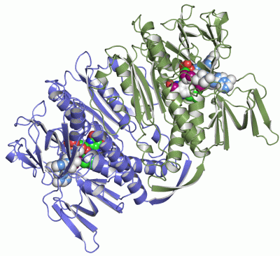 Image Asym./Biol. Unit - manually