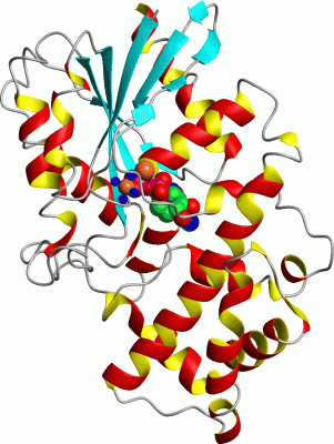 Image Asym./Biol. Unit - manually