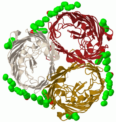 Image Biol.Unit 1 - manually